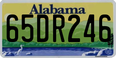 AL license plate 65DR246