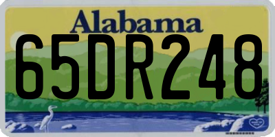 AL license plate 65DR248