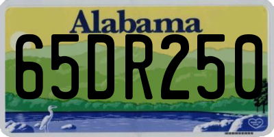 AL license plate 65DR250