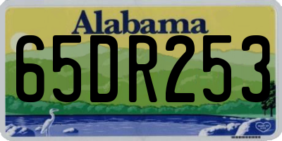 AL license plate 65DR253