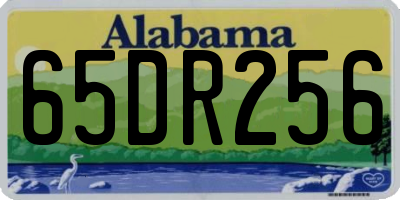 AL license plate 65DR256