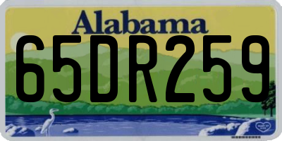 AL license plate 65DR259