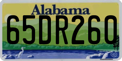 AL license plate 65DR260