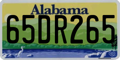 AL license plate 65DR265