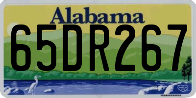 AL license plate 65DR267