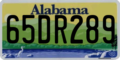 AL license plate 65DR289
