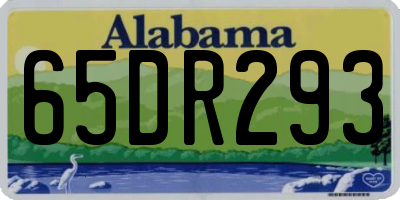 AL license plate 65DR293