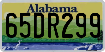 AL license plate 65DR299