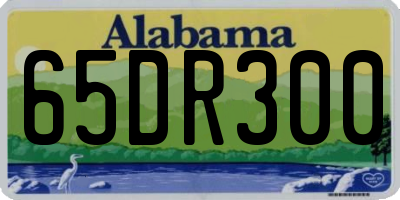 AL license plate 65DR300