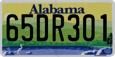 AL license plate 65DR301