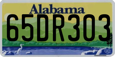 AL license plate 65DR303