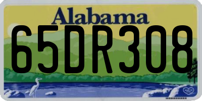 AL license plate 65DR308
