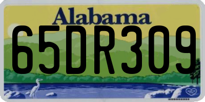 AL license plate 65DR309
