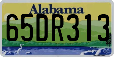 AL license plate 65DR313