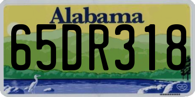 AL license plate 65DR318