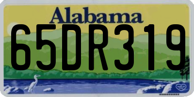 AL license plate 65DR319