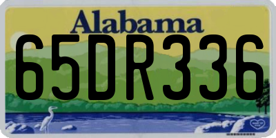 AL license plate 65DR336