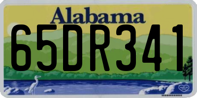 AL license plate 65DR341