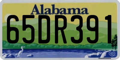 AL license plate 65DR391
