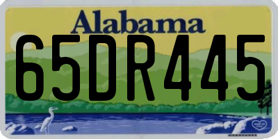 AL license plate 65DR445