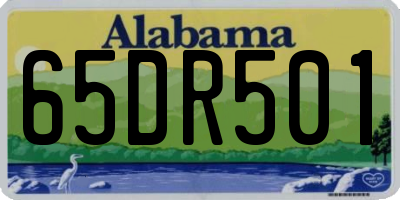 AL license plate 65DR501