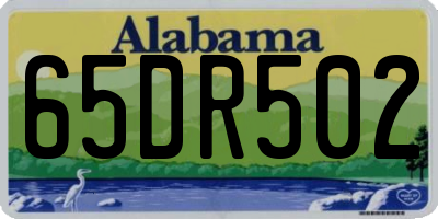 AL license plate 65DR502