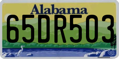 AL license plate 65DR503