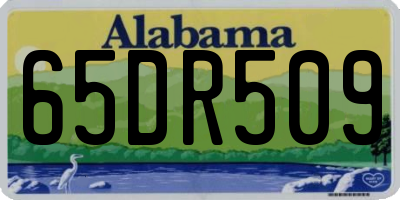AL license plate 65DR509