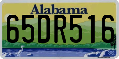AL license plate 65DR516