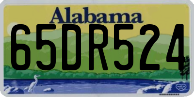 AL license plate 65DR524