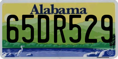 AL license plate 65DR529