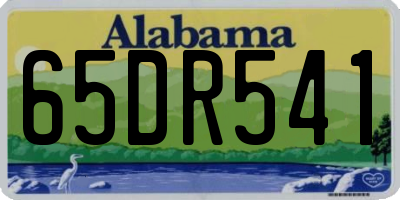 AL license plate 65DR541