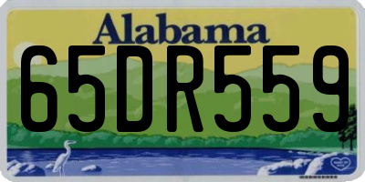 AL license plate 65DR559