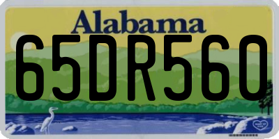 AL license plate 65DR560