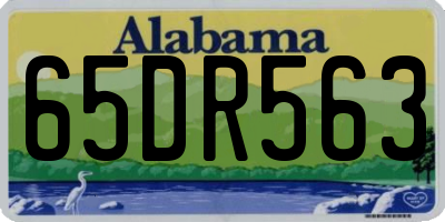 AL license plate 65DR563