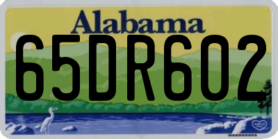 AL license plate 65DR602
