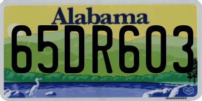 AL license plate 65DR603