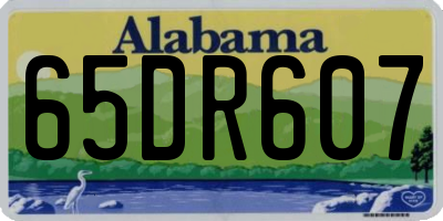 AL license plate 65DR607