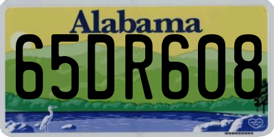 AL license plate 65DR608