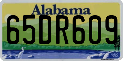 AL license plate 65DR609