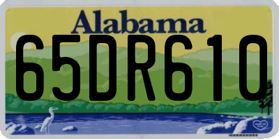 AL license plate 65DR610