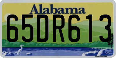 AL license plate 65DR613