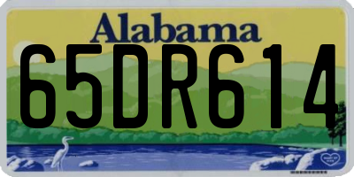 AL license plate 65DR614
