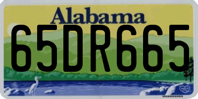 AL license plate 65DR665