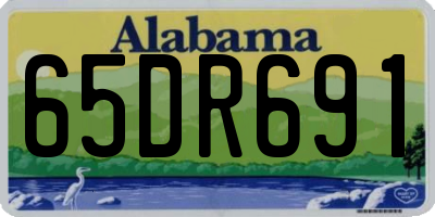 AL license plate 65DR691