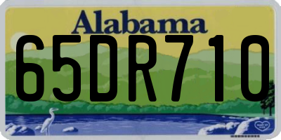 AL license plate 65DR710