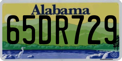 AL license plate 65DR729