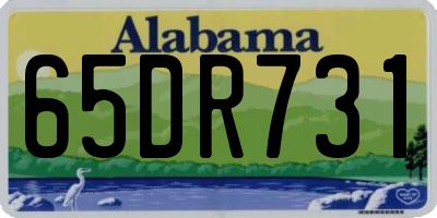 AL license plate 65DR731