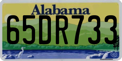 AL license plate 65DR733