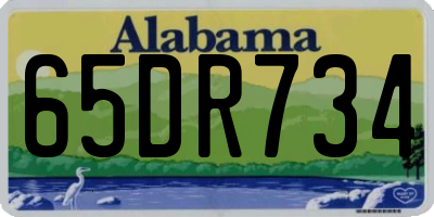 AL license plate 65DR734